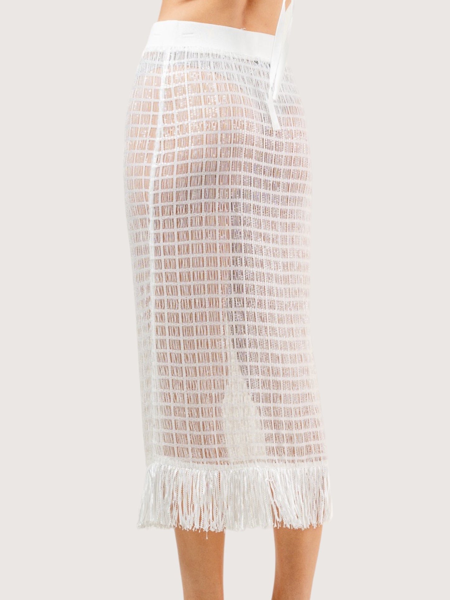 Sequin Net Midi Skirt