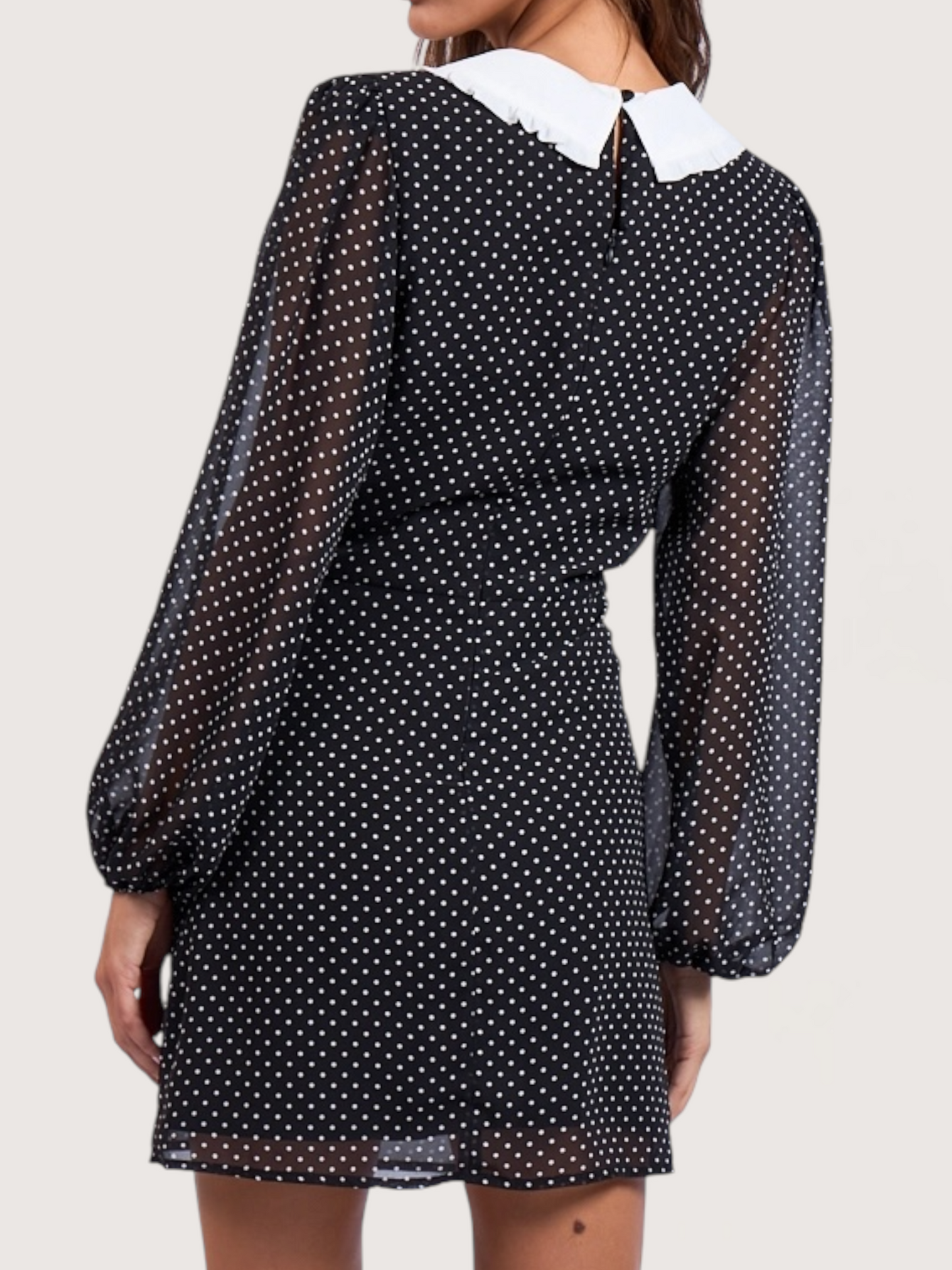 Collared Polka Dot Dress