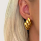 Sarah Ridged Earring