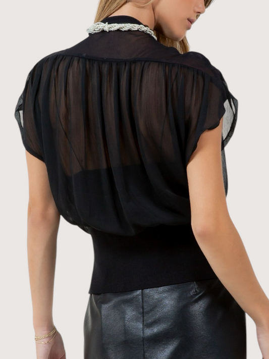 High Neck Sheer Blouse