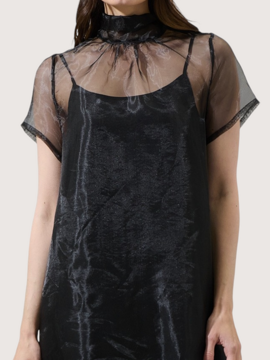 Ruffled Hem Organza Dress